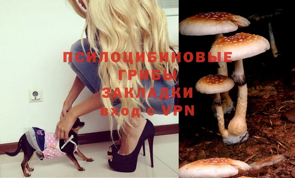 прущая мука Абинск