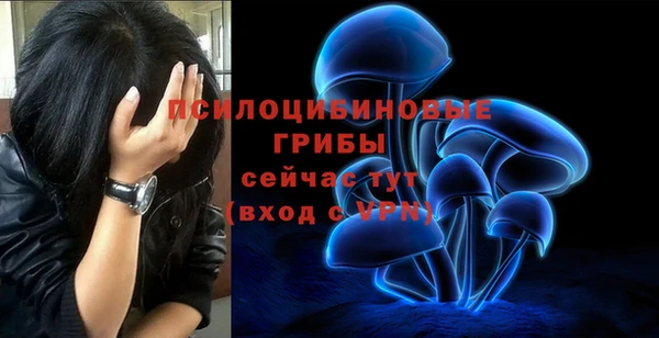прущая мука Абинск