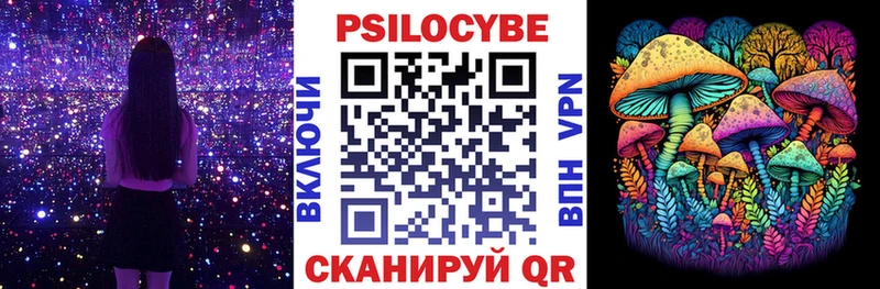 Псилоцибиновые грибы Psilocybe  Усмань 